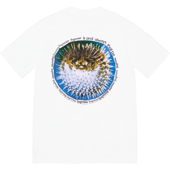 Supreme Mobb Deep Dragon Tee White S/S 23'