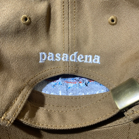 From The Ground Up Pasagonia Dad Hat Canvas Tan