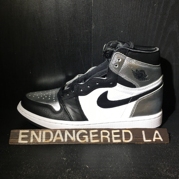 Air Jordan 1 Silver Toe Air Jordan 1 Silver Toe