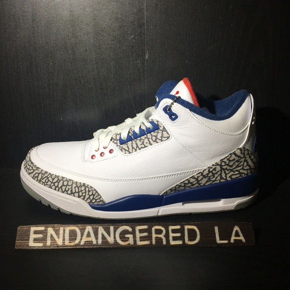 Air Jordan 3 True Blue 16'