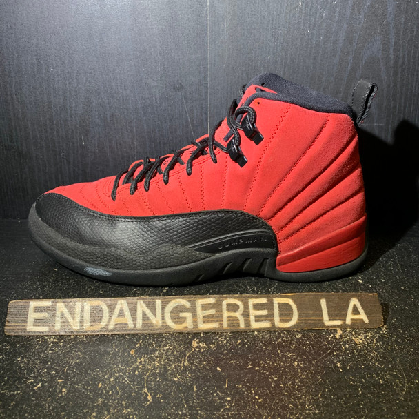 Air Jordan 12 Reverse Flu Game Sz 8
