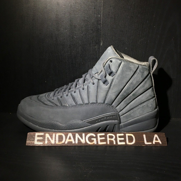 jordan 11 psny