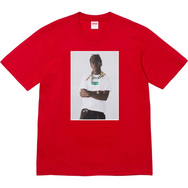 Tシャツ・カットソー Supreme Tyler the creator photo tee PALE MINT 2024 F/W Buy Supreme Tyler, The Creator Tee 'Pale Mint' - FW24T43