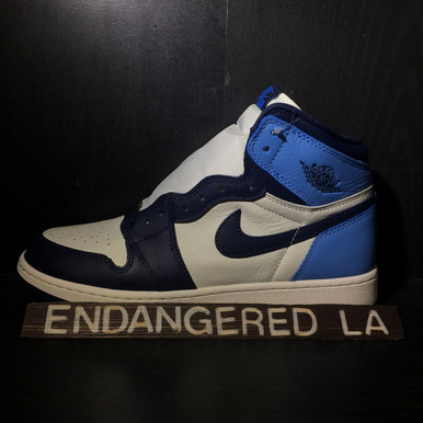Air Jordan 1 Obsidian GS - ENDANGERED LA