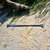 0.05 ml Stainless Steel Scoop