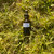 Vitamin E Mixed Tocopherols