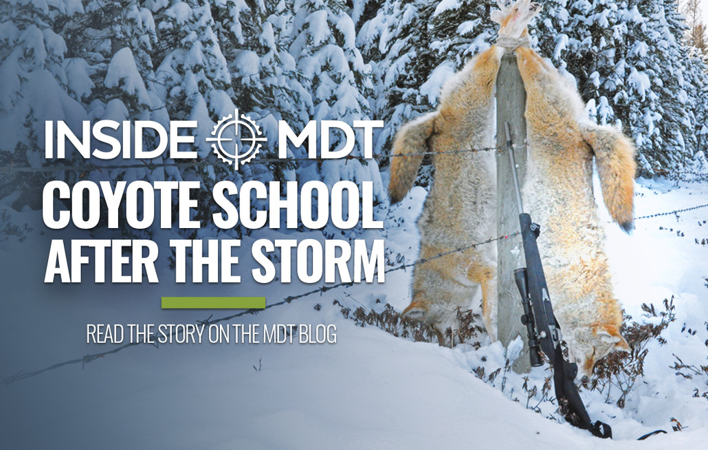 Inside MDT - Coyote School - After The Storm