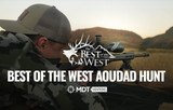 Best of the West Aoudad Hunt - MDT Mention