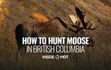 How to Hunt Moose in British Columbia - Inside MDT