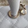 CHANEL 19P Small (Mini) Lt Grey Coco Handle Lt Gold Hw *New