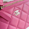 CHANEL 20S Pink Caviar Small Vanity Case GHW