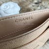 CHANEL 19S Iridescent Beige Classic Card Holder LGHW *New