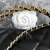 CHANEL 24B Top Handle Mini Bag  with Chain