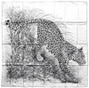 HERMES 'Panthera Pardus' Giant Silk Twill Scarf 140 *New