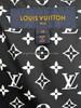 LOUIS VUITTON Open Arm Pillow Puffer Vest Jacket 38