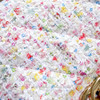 CHANEL 25P Multicolor Confetti Tweed Mini Flap Bag GHW