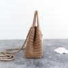 CHANEL 2026 Kelly Nano Raffia *New