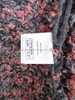 CHANEL 22A Runway Embellished Cardigan