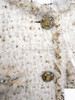 CHANEL 19A Metiers d'Art Ecru/ Gold Tweed Jacket 38 *New