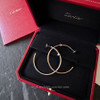 CARTIER JUC Juste un Clou Earrings RG