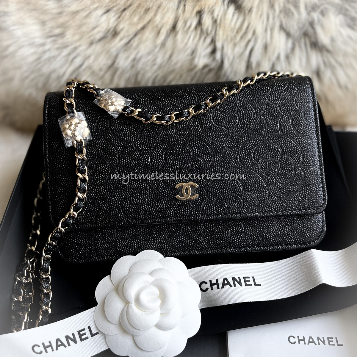 CHANEL 22P Black Caviar Camélia Wallet on Chain WOC LGHW *New