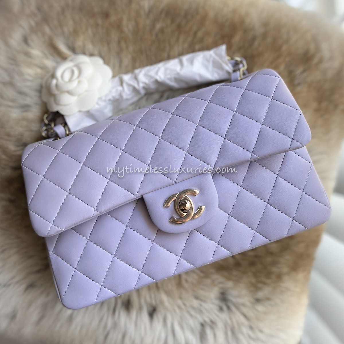 purple small bag