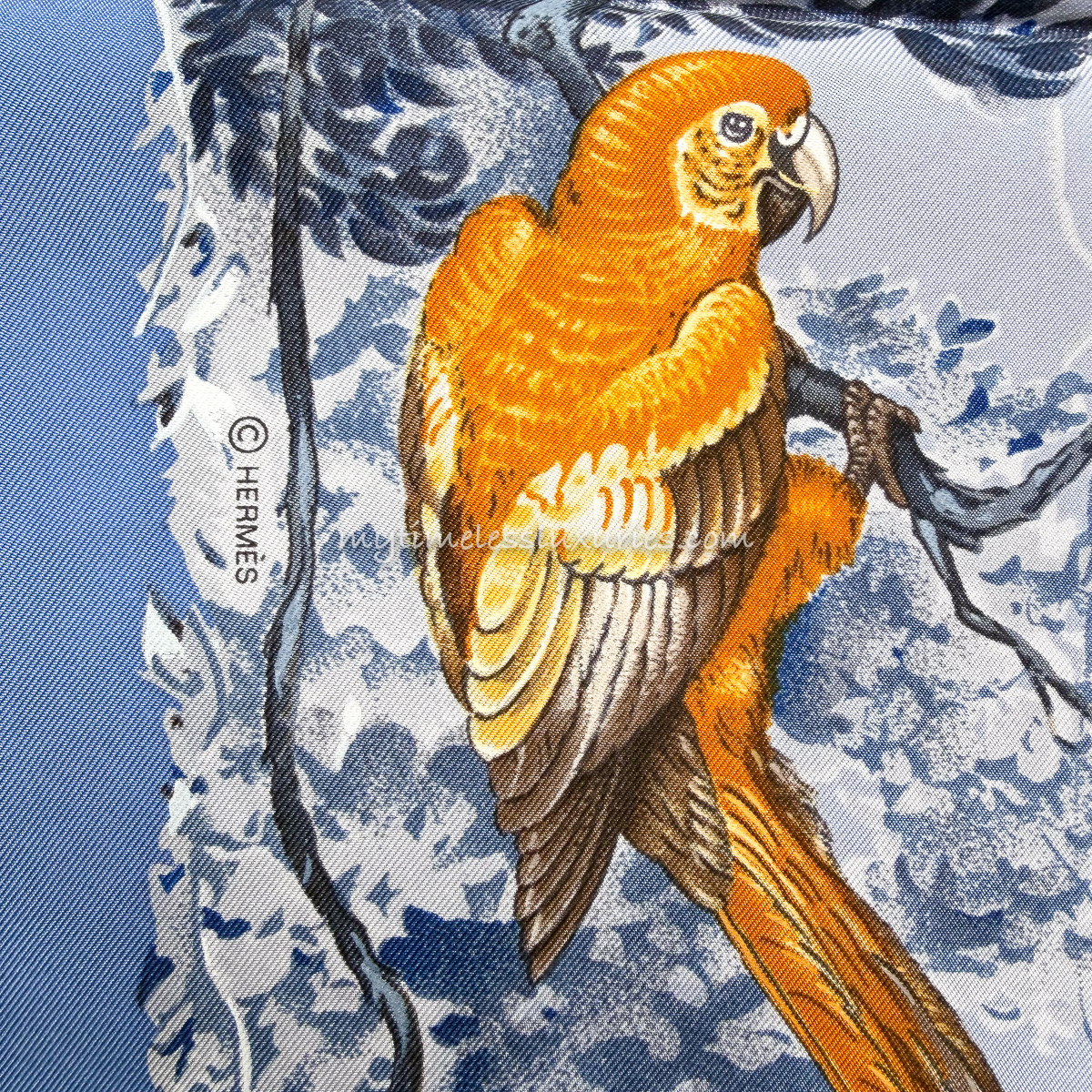 HERMES 'Equateur' by Robert Dallet Washed Silk 90 Scarf *New