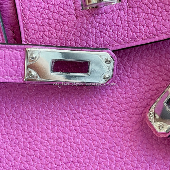 HERMES Birkin 25 Togo Magnolia Palladium Hw C/ 2018 - Timeless Luxuries