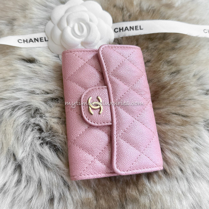 CHANEL 19S Iridescent Pink Flap Card Holder *New Timeless Luxuries