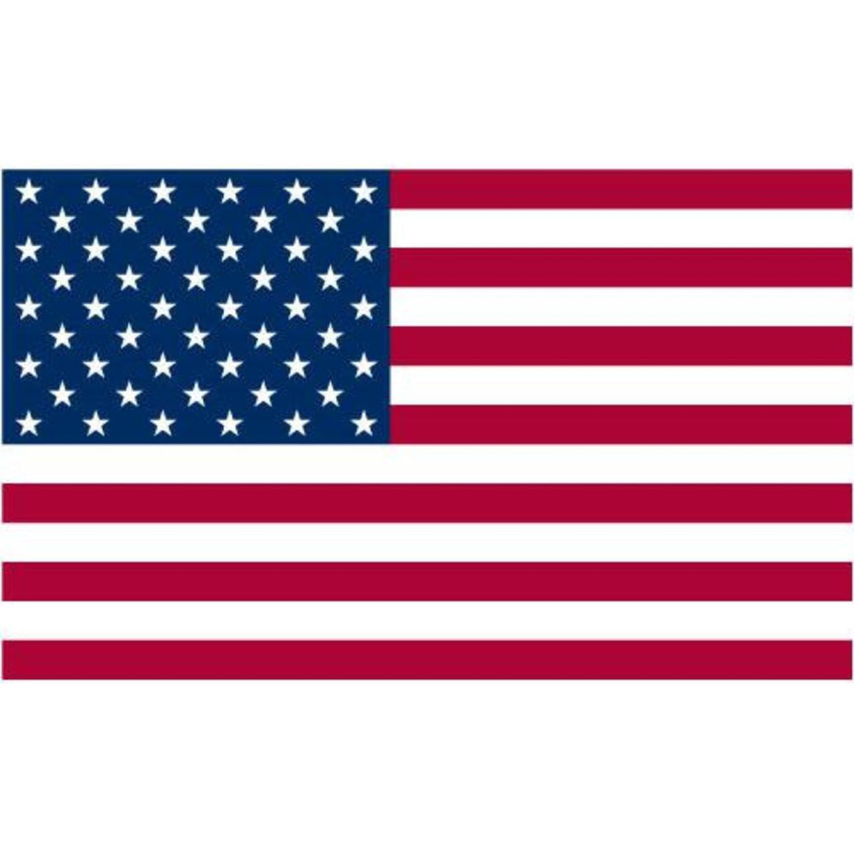 50 Stars American Flag