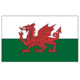 Wales 6' x 10' Nylon Flag