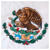 Mexico flag 3ft x 5ft Nylon