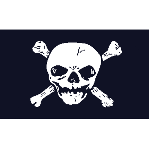 Pirates USA Skull 5'x3' Flag