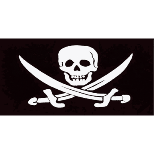 White Pirate Skull with Crossed Swords Emblem