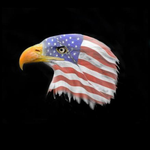 American Eagle 1898 Poster Art - Downloadable Image