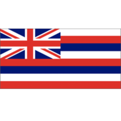 Hawaii 5ft x 8ft SpectraPro Flag