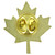 Canada Leaf Pin - 1" x 1"