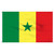 Senegal 5' x 8' Nylon Flag