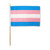 Transgender 12" x 18" Stick Flag