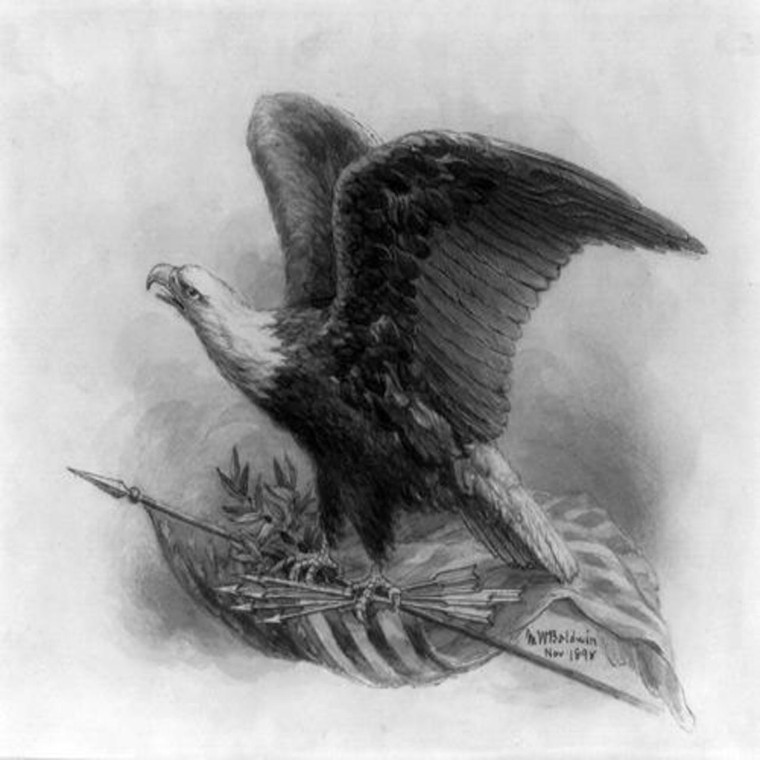 American Eagle 1898 - Downloadable Image