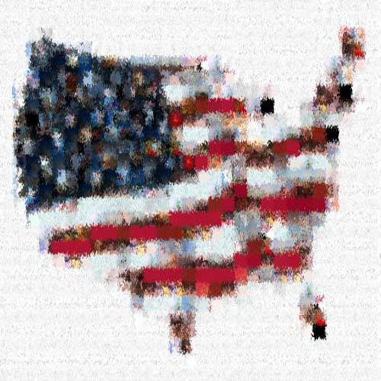 Mosaic United States Map Illustration (Paint)