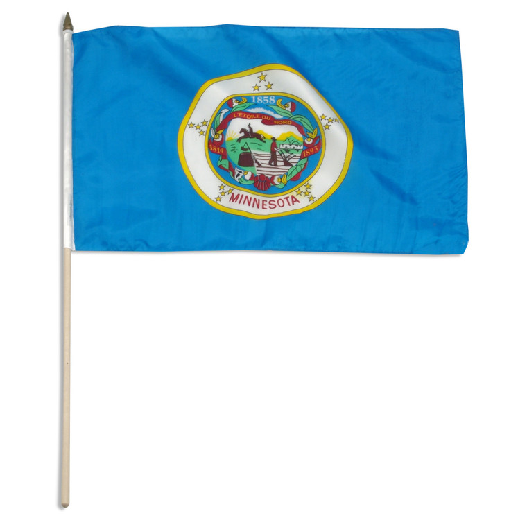 Minnesota flag 12 x 18 inch