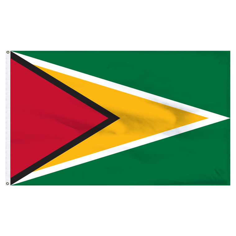 Guyana 4ft x 6ft Nylon Flag