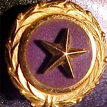 Gold Star Mother's Day