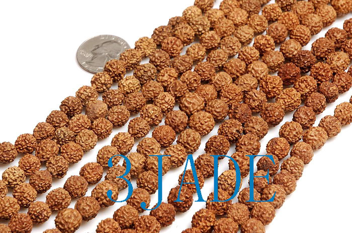 Tibetan Natural Rudraksha Bodhi Seed Mantra Meditation Prayer