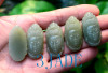 Natural Nephrite Jade Kwan Yin / Guanyin Pendant /Necklace
