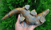 Hand Carved Natural Jasper/Bamboo Stone Crocodile Sculpture /Carving/Art Deco -J005057