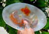 Carnelian Plate