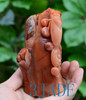 Natural ShouShan Stone Cicada Statue Sculpture Agalmatolite Carving -J010275