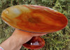 red carnelian Tray